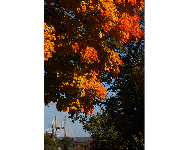 The fall foliage creates a colorful frame of the Great River Bridge Oct. 20, 2014 in Burlington. | John Gaines | The Hawk Eye